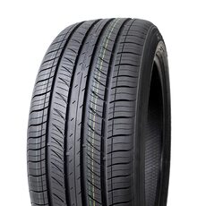 Rydanz Raleigh R06 245/45R20 103W